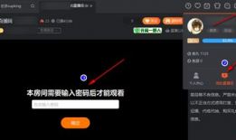 91直播间密码,解锁精彩直播的神秘钥匙